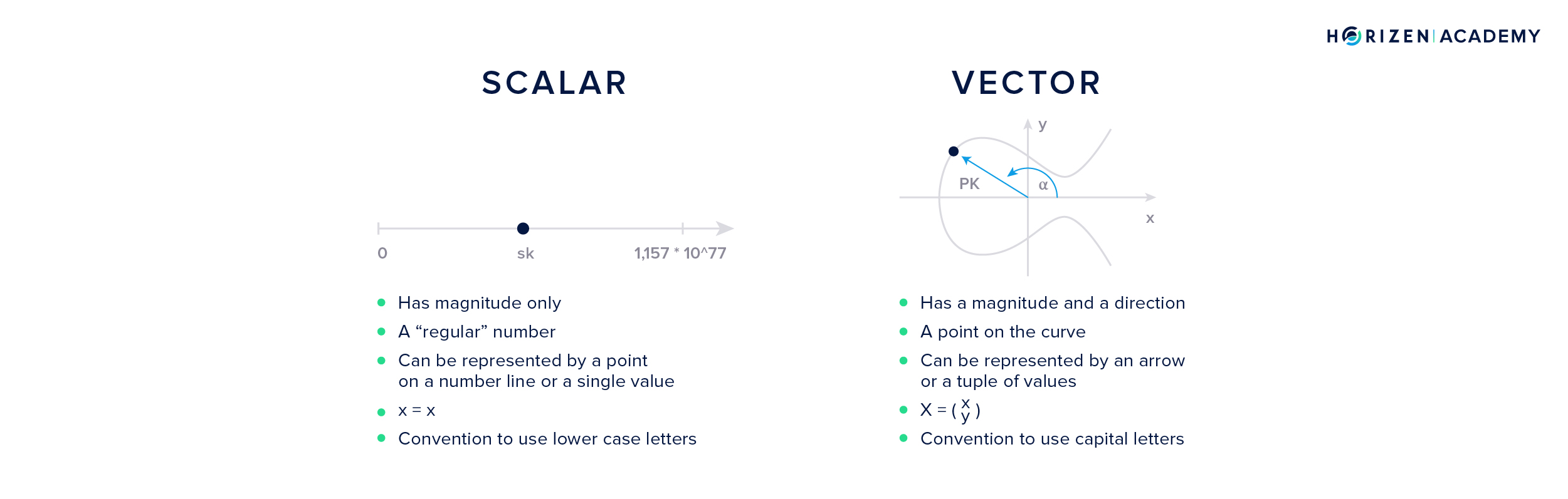 Scalar vs. Vector